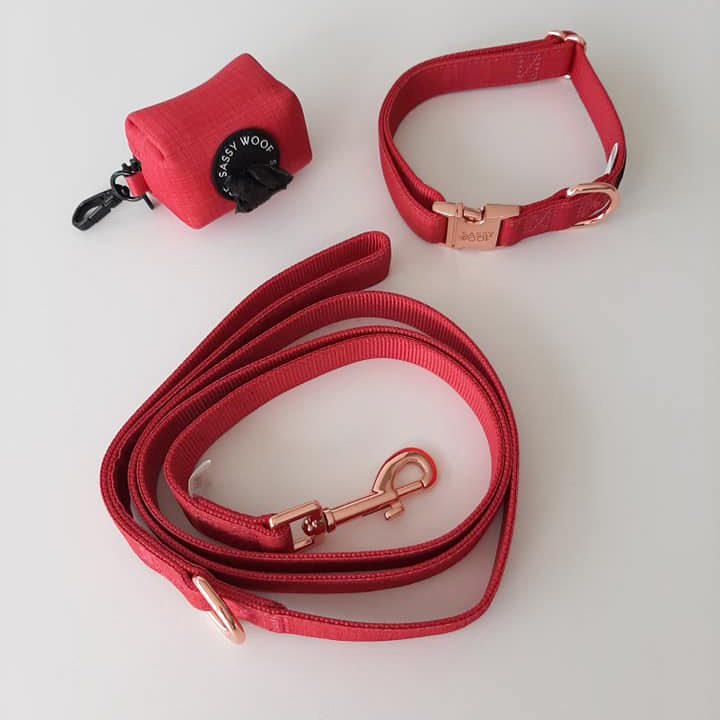 Koop nu deze rode wandelset met korting - hondenhalsband en hondenleiband - Furra