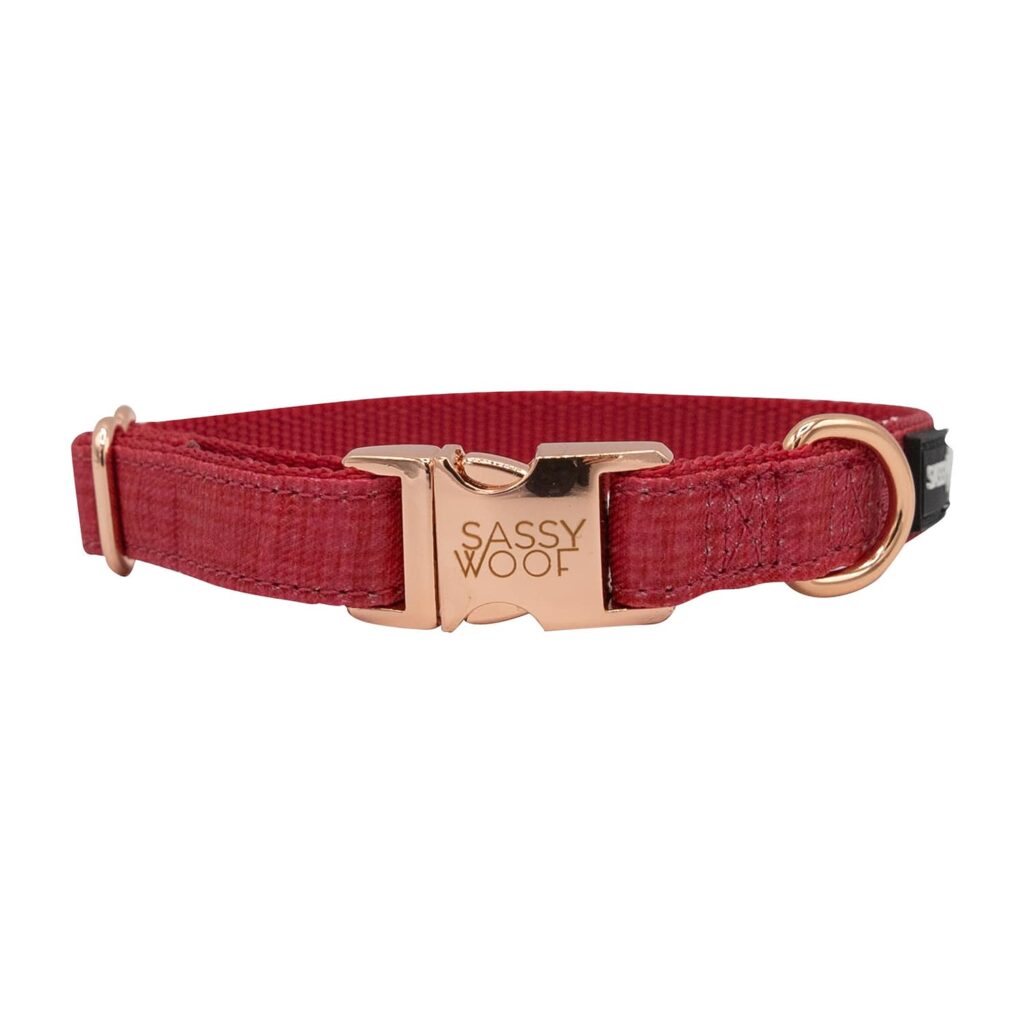 Unieke, leuke, rode halsband voor honden van Sassy Woof - Furra webshop