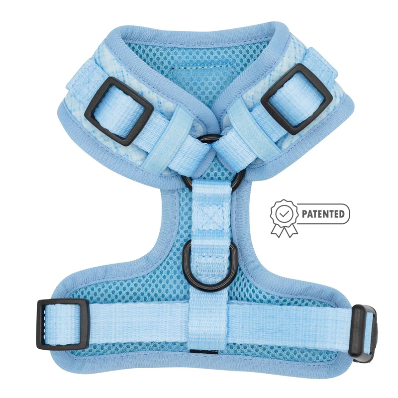 blumond-dog-harness2_2bf79a62-3aa0-499b-ac82-77e8f0ffbff7_800x