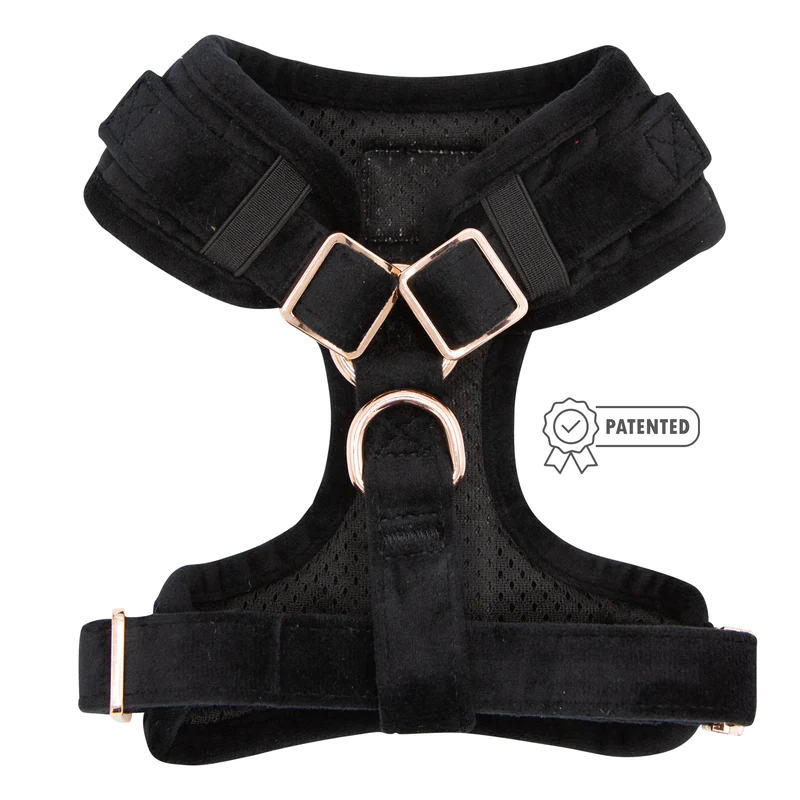 wedding-black-dog-harness-patented-1_800x