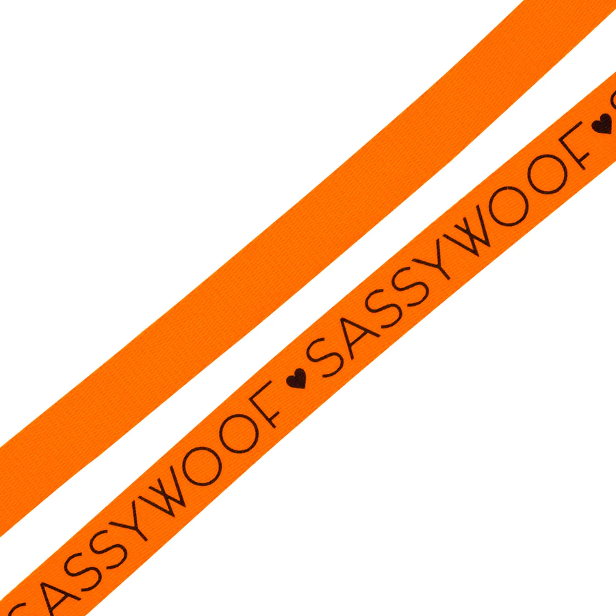 Hondenleiband van Sassy Woof in Nederland en België