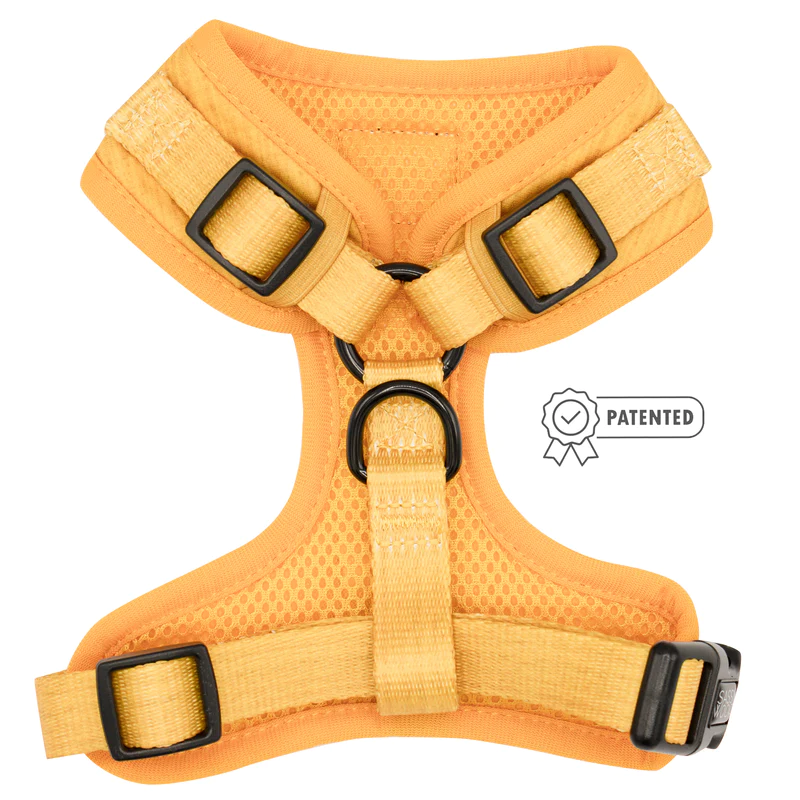 yellow-fall-dog-harness_4_800x