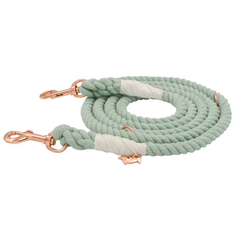 hands-free-mint-dog-rope-leash_2_900x