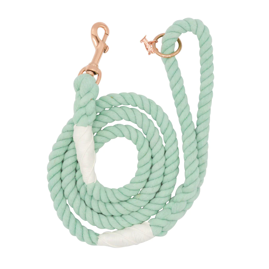 mint-to-be-dog-rope-leash-new_1-2_900x