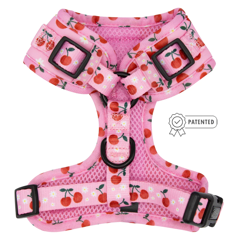 mon-cherry-dog-adjutable-harness-patented-2_800x
