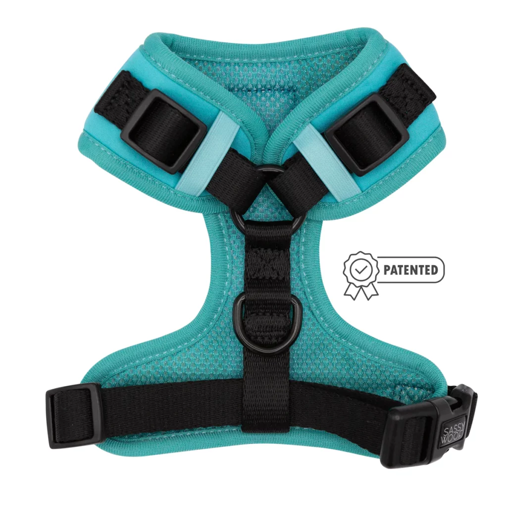 neon-teal-dog-harness-patented_1_1200x