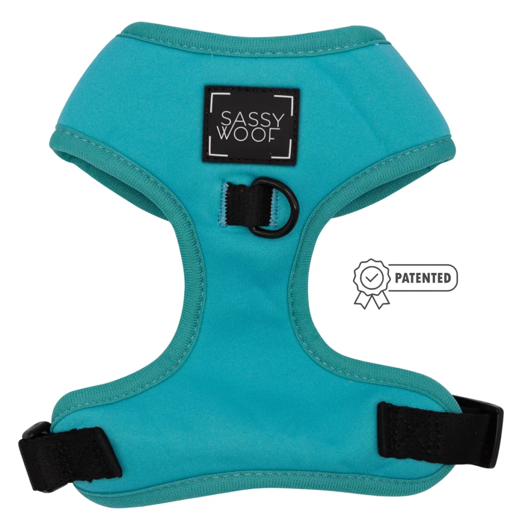 neon-teal-dog-harness-patented_2_0f873a08-f456-4be7-8e25-d4b166032d57_1200x
